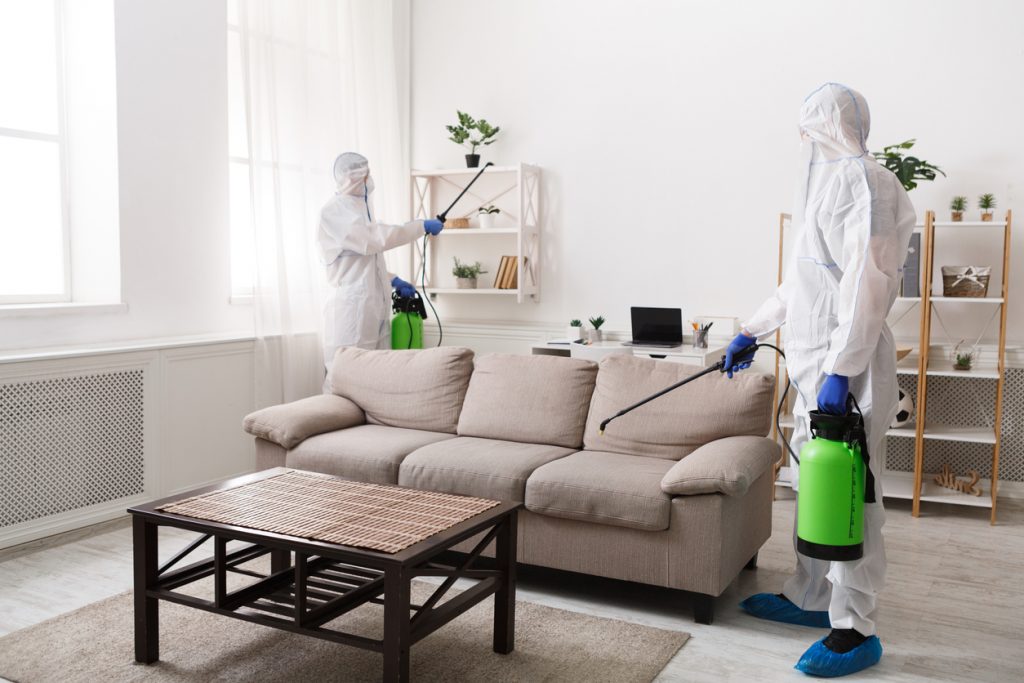 pest control services in pune
